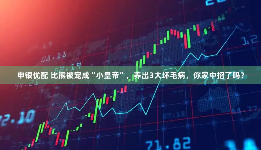 申银优配 比熊被宠成“小皇帝”，养出3大坏毛病，你家中招了吗？