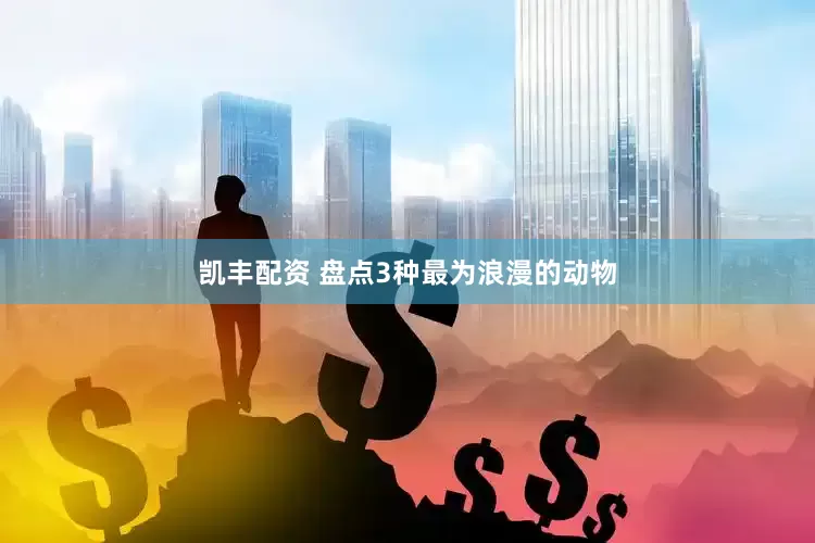 凯丰配资 盘点3种最为浪漫的动物