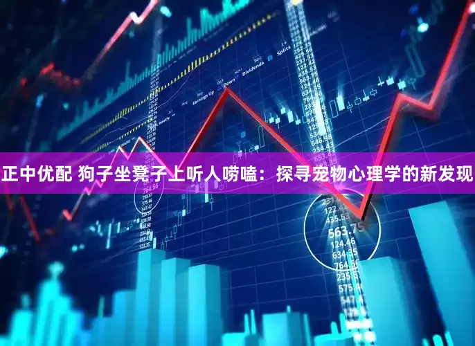 正中优配 狗子坐凳子上听人唠嗑：探寻宠物心理学的新发现