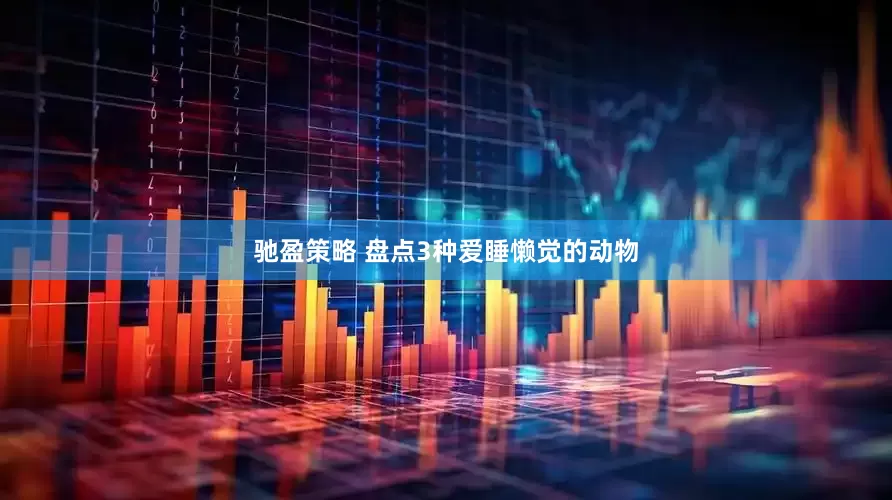 驰盈策略 盘点3种爱睡懒觉的动物