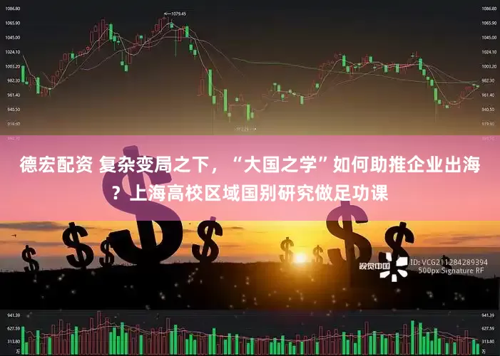 德宏配资 复杂变局之下，“大国之学”如何助推企业出海？上海高校区域国别研究做足功课